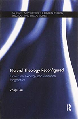 Natural Theology Reconfigured