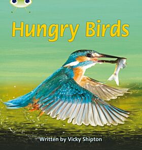 Bug Club Phonics Non Fiction Year 1 Phase 5 Set 23 Hungry Birds