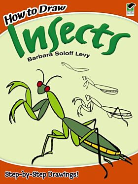 How to Draw Insects