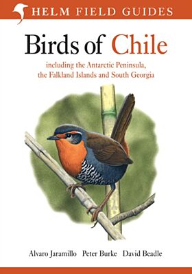 Birds of Chile