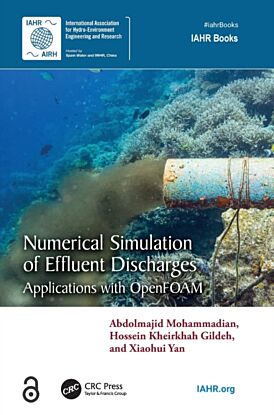 Numerical Simulation of Effluent Discharges