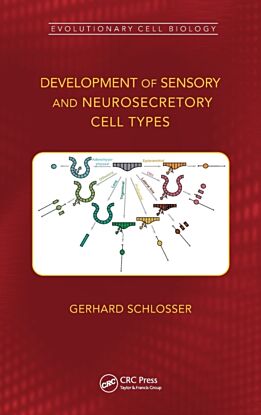 Development of Sensory and Neurosecretory Cell Types