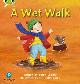 Bug Club Phonics Fiction Early Years and Reception Phase 1 A Wet Walk