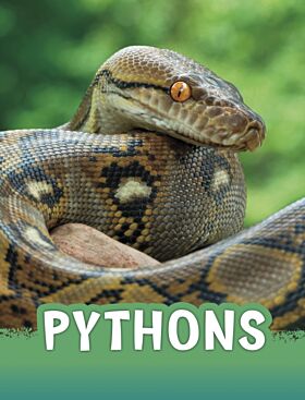 Pythons