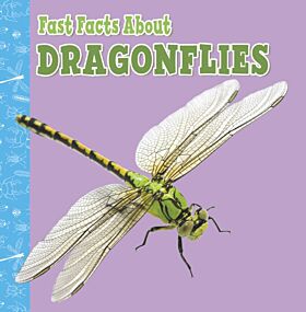 Fast Facts About Dragonflies