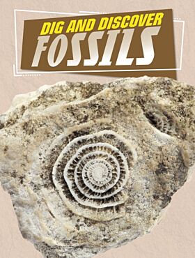 Dig and Discover Fossils