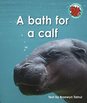 A bath for a calf