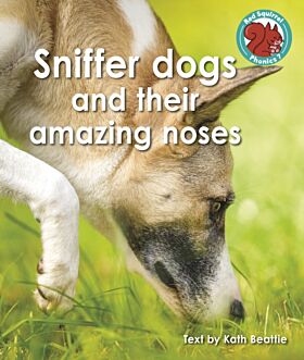 Sniffer dogs and their amazing noses