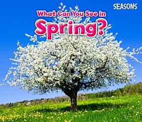 What Can You See In Spring?