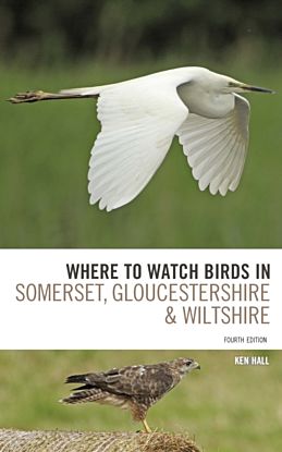 Where To Watch Birds in Somerset, Gloucestershire and Wiltshire