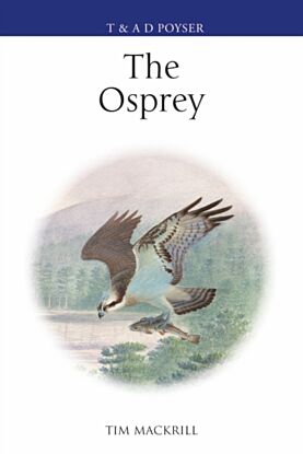 The Osprey