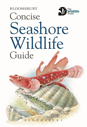 Concise Seashore Wildlife Guide