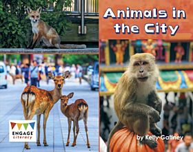 Animals in the City