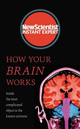 How Your Brain Works