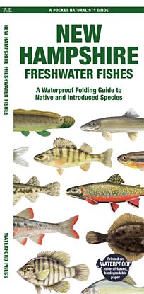 New Hampshire Freshwater Fishes