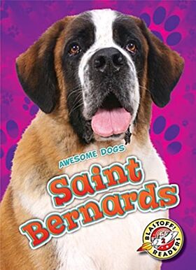 Saint Bernards