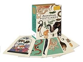 Animalium postcards