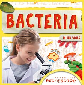 Bacteria