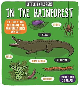 Little Explorers: In the Rainforest