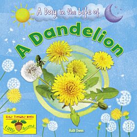 A Dandelion