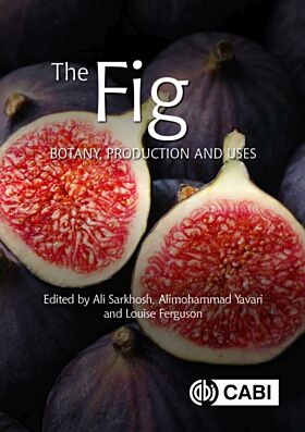 The Fig