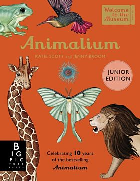 Animalium (Junior Edition)