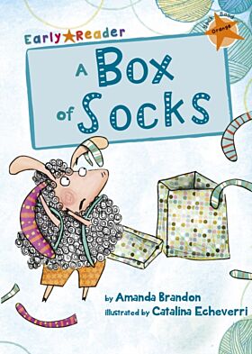 A Box of Socks