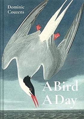 A Bird A Day