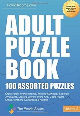 Adult Puzzle Book:100 Assorted Puzzles - Volume 2