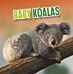 Baby Koalas