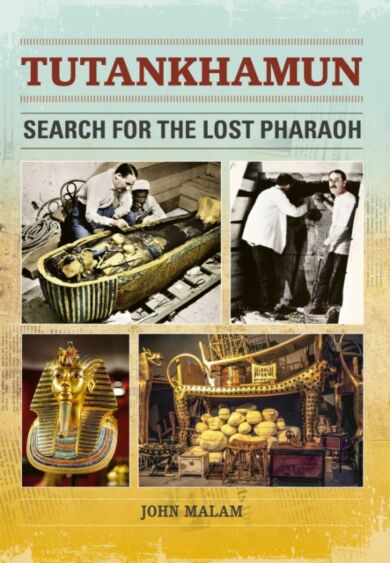 Reading Planet: Astro ¿ Tutankhamun: Search for the Lost Pharaoh ¿ Mars/Stars band