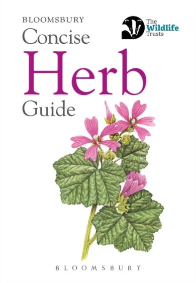 Concise Herb Guide