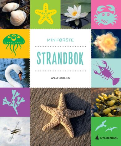 Min første strandbok