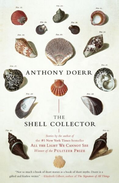 The Shell Collector