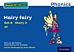 Read Write Inc. Phonics: Hairy Fairy (Blue Set 6 Storybook 3)