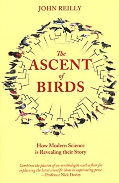 The Ascent of Birds