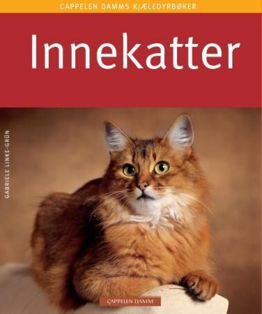 Innekatter