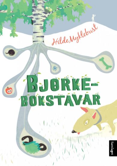 Bjørkebokstavar