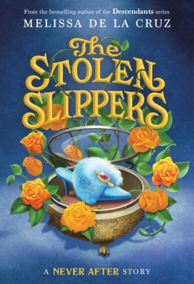 Never After: The Stolen Slippers