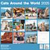 Kalender 2025 Cats in the World 30x30cm