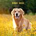 Kalender 2025 Dogs 18x18cm