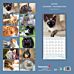 Kalender 2025 Katter 18x18cm