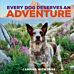 Every Dog Deserves an Adventure