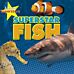 Fish Superstars