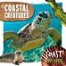 Coastal Creatures