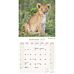 Kalender 2025 African Wildlife 30x30cm