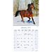 Kalender 2025 Horses 30x30cm