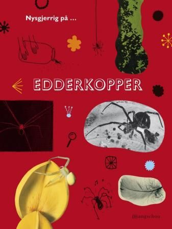 Edderkopper