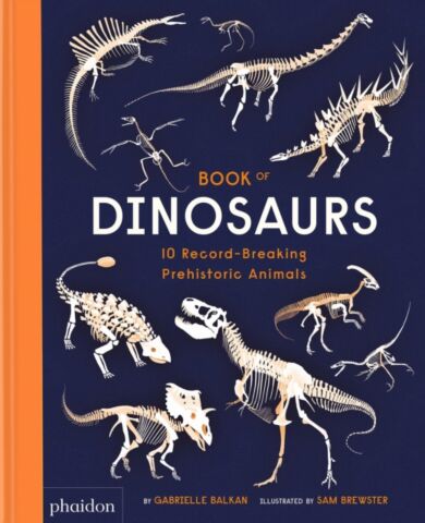 Book of Dinosaurs