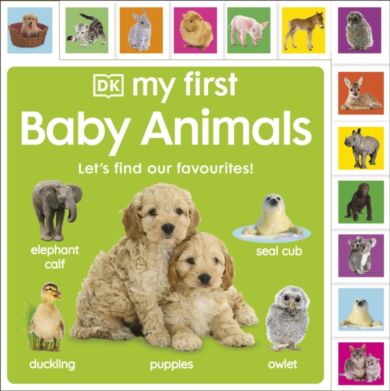 My First Baby Animals: Let's Find Our Favourites!